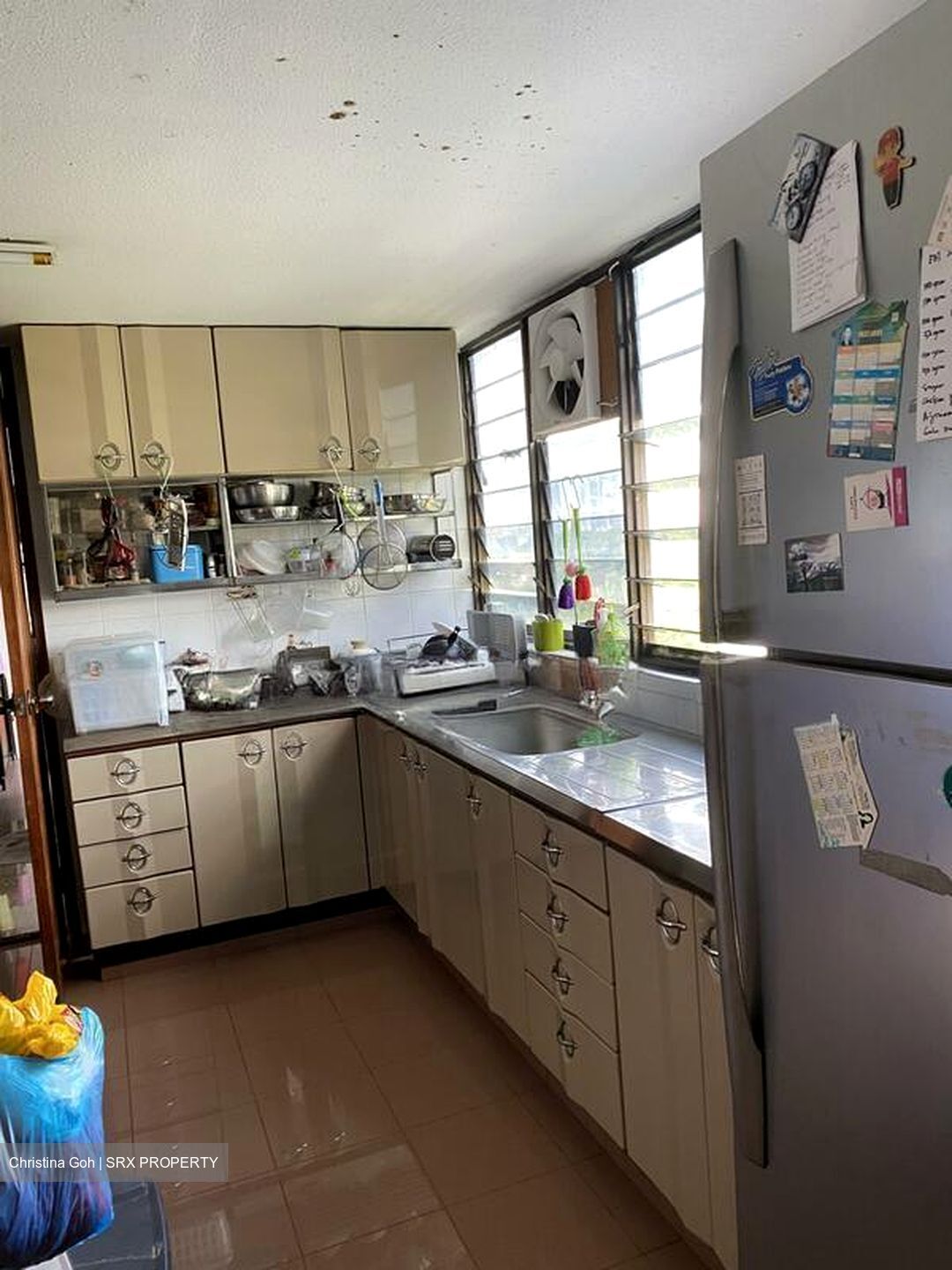 Pandan Valley (D21), Condominium #571852671